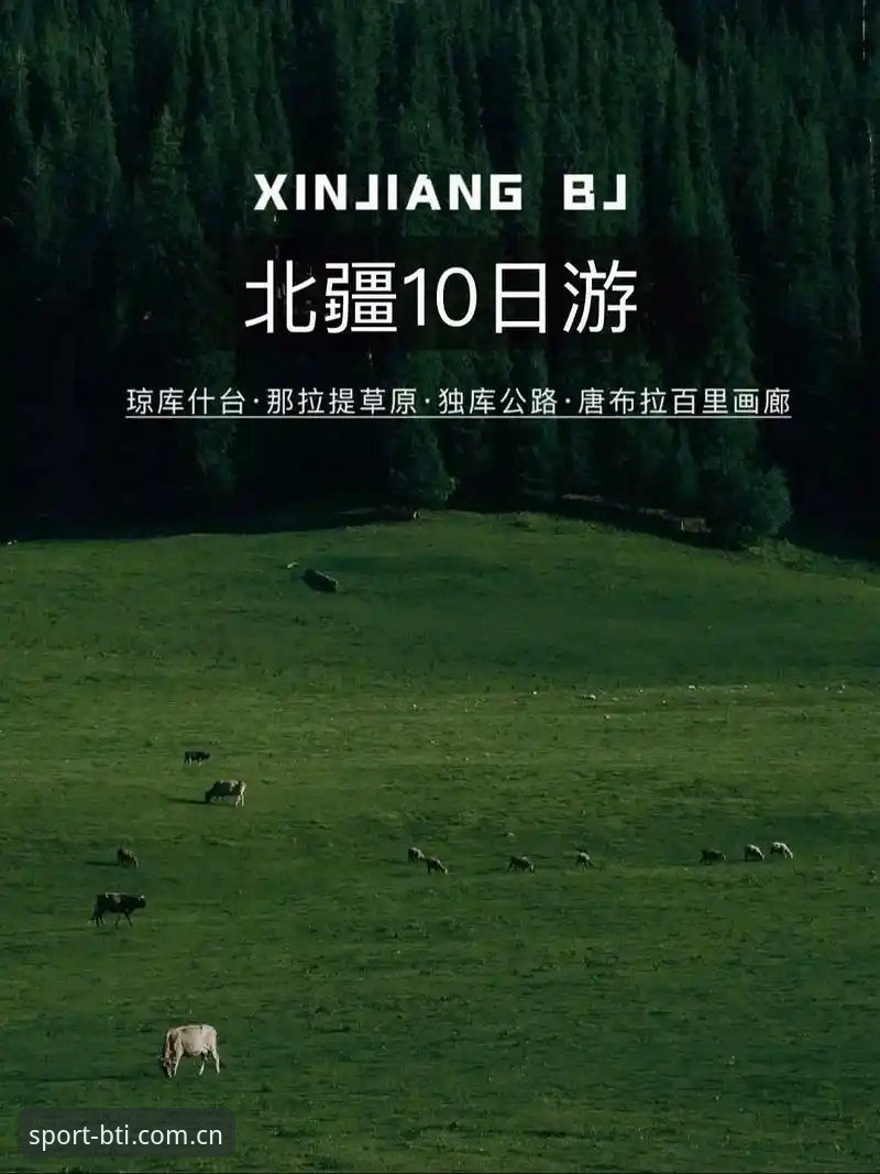 深度揭秘：B体育平台娱乐之旅背后的品质密码